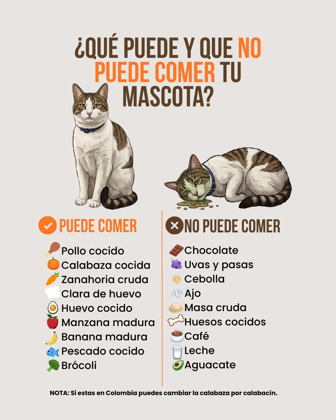Ebook de Alquimia Casera para Mascotas + 3 Bonos Exclusivos